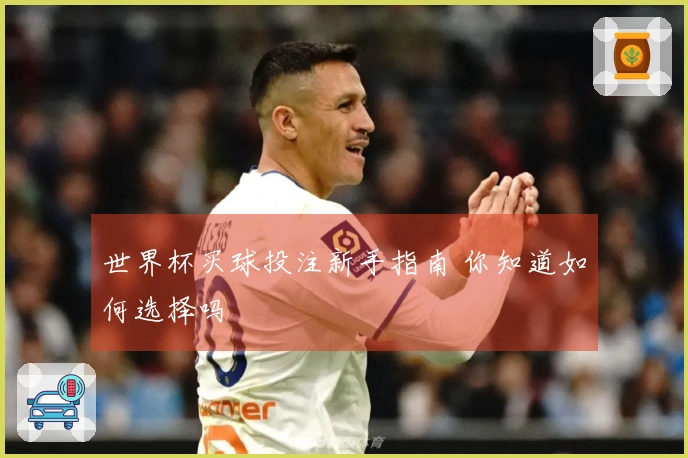 世界杯买球投注新手指南 你知道如何选择吗