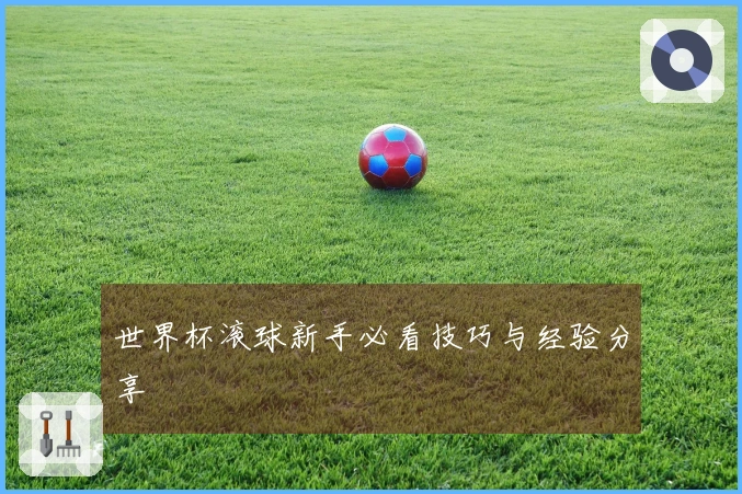 世界杯滚球新手必看技巧与经验分享
