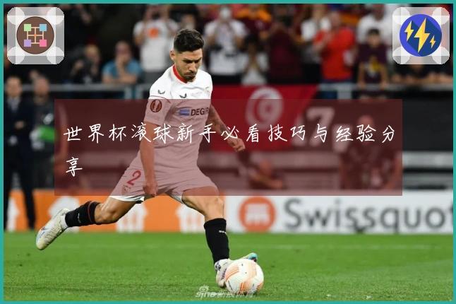 世界杯滚球新手必看技巧与经验分享