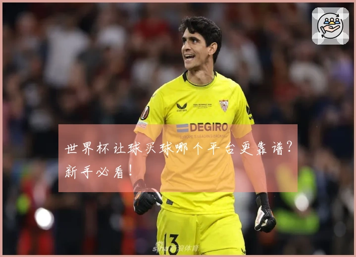 世界杯让球买球哪个平台更靠谱？新手必看！