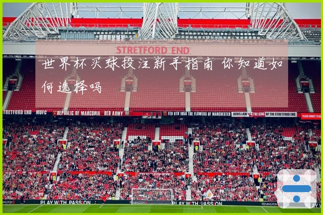 世界杯买球投注新手指南 你知道如何选择吗