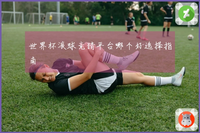 世界杯滚球竞猜平台哪个好选择指南