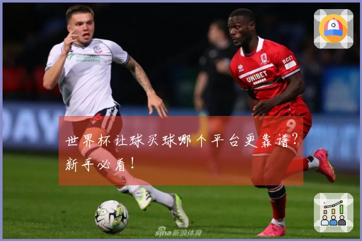 世界杯让球买球哪个平台更靠谱？新手必看！