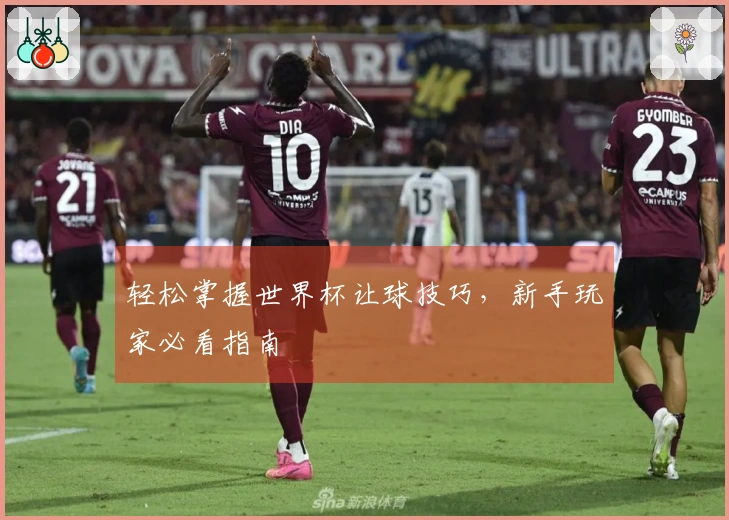 轻松掌握世界杯让球技巧，新手玩家必看指南